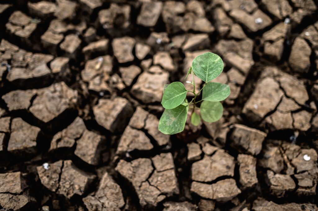 Experți: România trebuie să trateze tranziția climatică drept un proiect strategic național