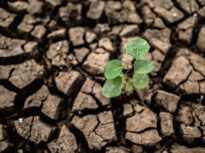 Experți: România trebuie să trateze tranziția climatică drept un proiect strategic național