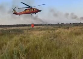 Incendiul de la Chilia s-a reaprins. Ar fi fost declanșat de o pasăre electrocutată