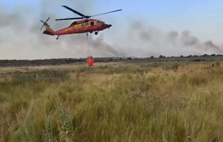 Incendiul de la Chilia s-a reaprins. Ar fi fost declanșat de o pasăre electrocutată