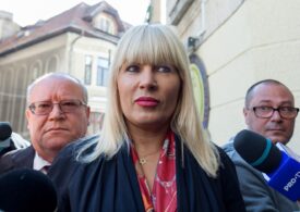 Elena Udrea poate fi eliberată condiționat din închisoare