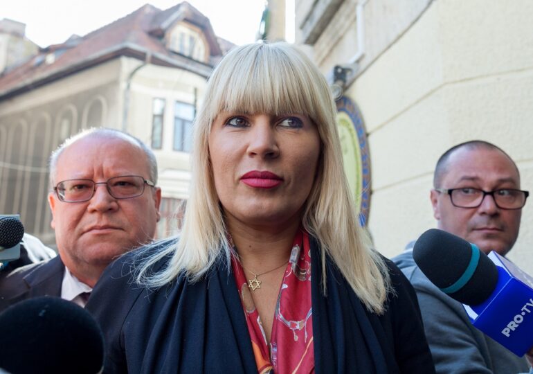 Judecătorii au decis eliberarea condiționată a Elenei Udrea
