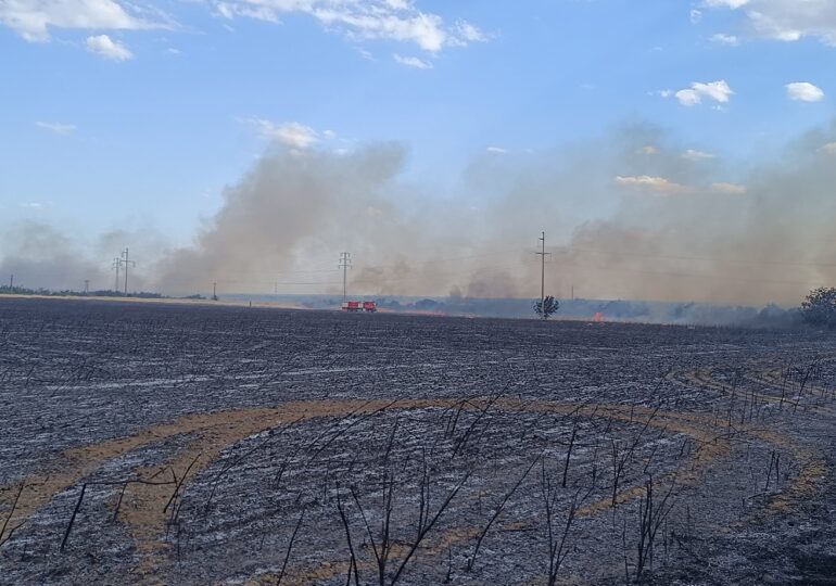 Două incendii de vegetație au făcut ravagii în Prahova: unul a ajuns la clădiri, altul a dus la restricționarea traficului pe DN1B