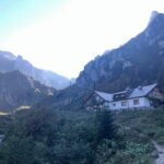 Avertizare pentru turiști: O ursoaică cu pui a fost văzută în zona cabanei Mălăiești