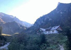 Avertizare pentru turiști: O ursoaică cu pui a fost văzută în zona cabanei Mălăiești
