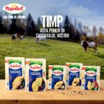 Brandul Napolact, preluat de unguri alături de două fabrici de lactate din Ardeal