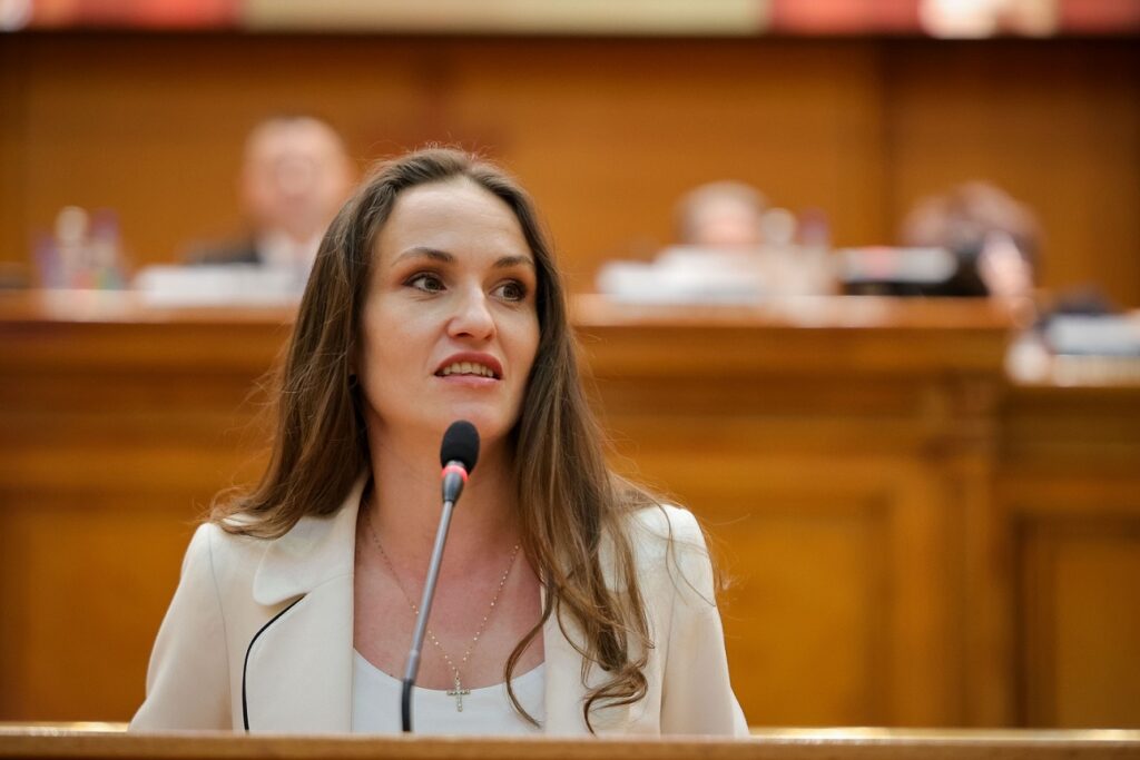 Guvernul a retras statutul de utilitate publică unei asociații conduse de Adrian Năstase