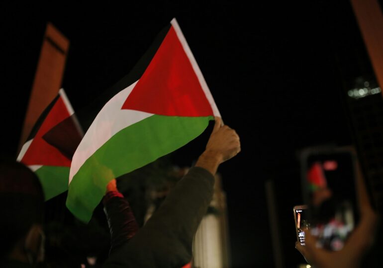 Germania nu va urma exemplul Franței și nu va recunoaște statul Palestina