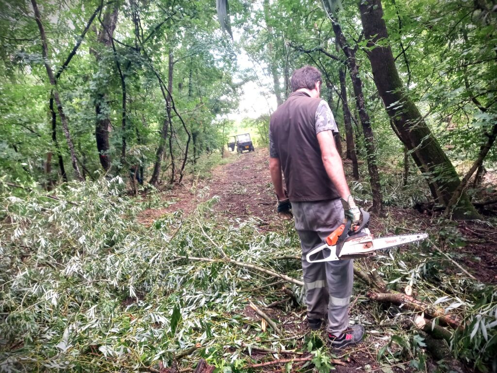 Diana Buzoianu: Reforma Romsilva va pune capăt „huzurului”. Regia are un hotel de 4 stele în mijlocul Bucureștiului care este pe pierdere (Video)