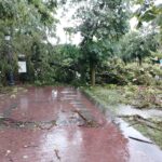 „Sfârșitul lumii în Sinaia”. DN1 și calea ferată, blocate de copaci căzuți. Acoperișul gării a fost smuls de vânt. Turiști răniți, inclusiv străini (Foto&Video)