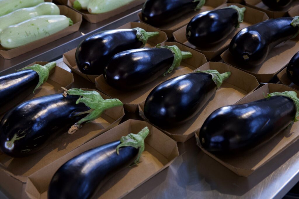 Carrefour România lansează prima cooperativă bio, parte din programul Grădina Noastră