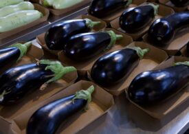 Carrefour România lansează prima cooperativă bio, parte din programul Grădina Noastră