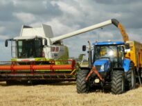 România ar putea avea cea mai mare recoltă agricolă din ultimii cinci ani. Producția estimată depășește 30 de milioane de tone