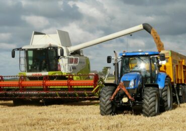 România ar putea avea cea mai mare recoltă agricolă din ultimii cinci ani. Producția estimată depășește 30 de milioane de tone