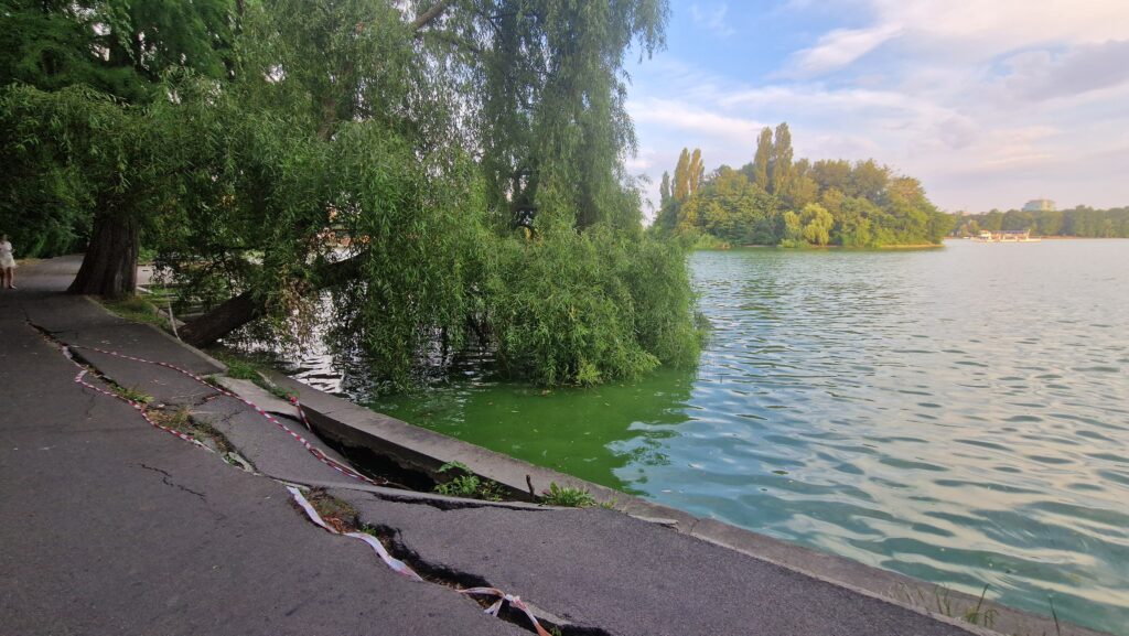 Un an pentru un dosar și între timp se surpă un parc simbol al Capitalei: Cum îngroapă Primăria Herăstrăul în hârtii