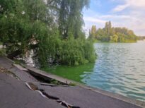 Un an pentru un dosar și între timp se surpă un parc simbol al Capitalei: Cum îngroapă Primăria Herăstrăul în hârtii