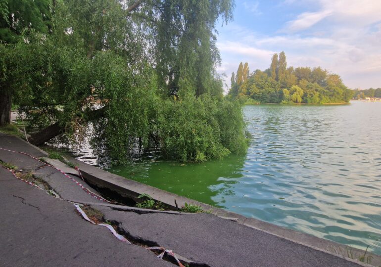 Un an pentru un dosar și între timp se surpă un parc simbol al Capitalei: Cum îngroapă Primăria Herăstrăul în hârtii