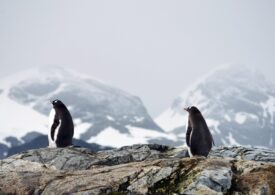 Criza climatică ar putea declanșa un fenomen rar și îngrijorător: Sute de vulcani s-ar putea trezi la viață. Zonele aflate în pericol