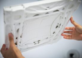 Un beton ușor și rezistent cu o capacitate extraordinară de a absorbi CO2 din atmosferă, inspirat de algele fosilizate