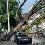 Furtună în Capitală și în mai multe județe: O femeie a murit. Doi răniți, mașini strivite de copaci (Foto & Video)