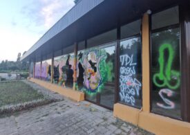 Vandalism și agresivitate, în parcurile din București. De ce sunt nepăzite de aproape 5 ani și ce șanse avem să se facă ceva
