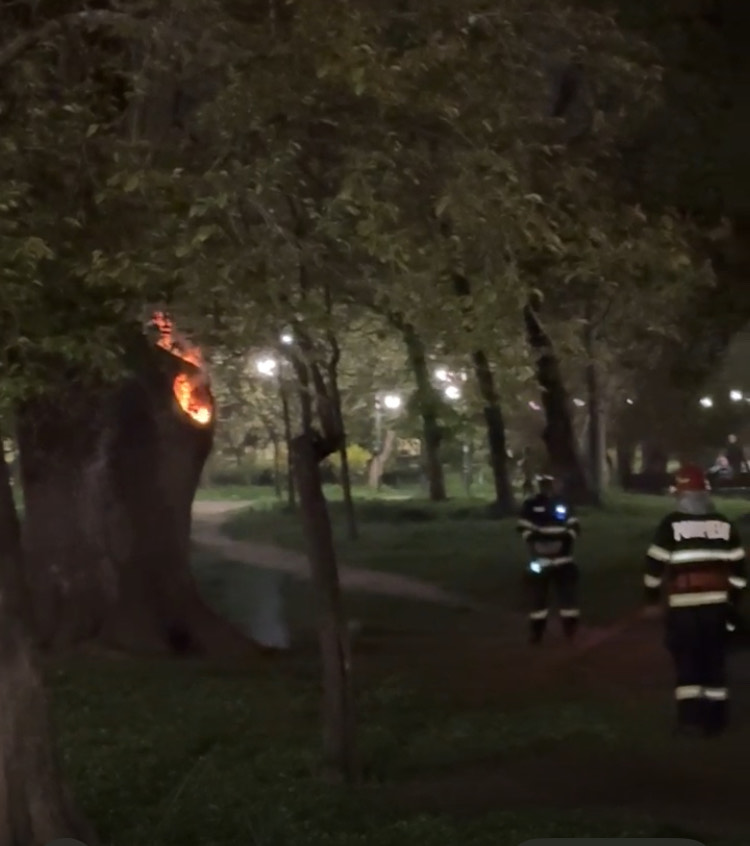 frasin incendiat