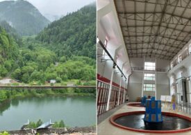 Justiția pune frână hidrocentralei de la Răstolița: pădurea scapă de defrișare