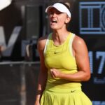 irina begu