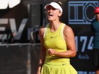 irina begu