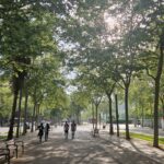 Ce are Barcelona și îi lipsește Bucureștiului. Rezultate vs scuze. Reportaj într-un oraș de 15 minute (Galerie foto)