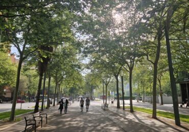 Ce are Barcelona și îi lipsește Bucureștiului. Rezultate vs scuze. Reportaj într-un oraș de 15 minute (Galerie foto)