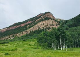 Câteva păduri din Munții Făgăraș devin un model european de reconstrucție ecologică: rezultatele proiectului SUPERB în România