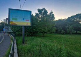 Bătălia pentru parcurile Capitalei: Cu cine și cum a ajuns ALPAB să se lupte în instanță ca să elibereze spațiul verde
