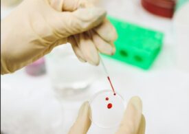 Oamenii de știință au creat un instrument care prezice riscul ca un copil să devină un adult obez. Și încă ceva