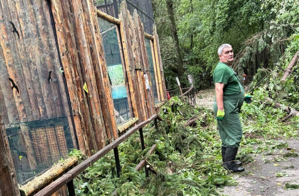 Grădina Zoologică București se închide temporar, din cauza furtunii de ieri