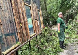 Grădina Zoologică București se închide temporar, din cauza furtunii de ieri