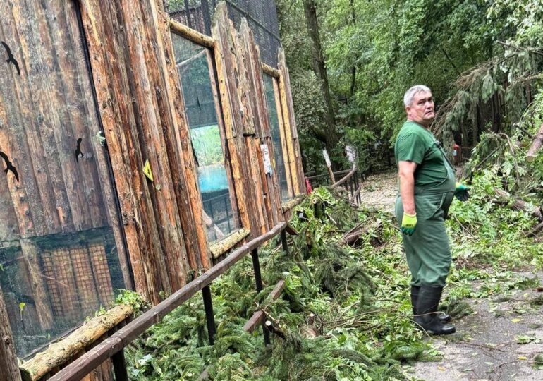 Grădina Zoologică București se închide temporar, din cauza furtunii de ieri