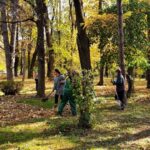 Investigație Parcurile „de lux” ale Capitalei: Întreținerea costă de 3 ori mai mult ca în 2022. Licitație câștigată de o firmă acuzată de lucrări fictive