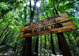 Trail run - MTB cu sens într-un parc natural protejat