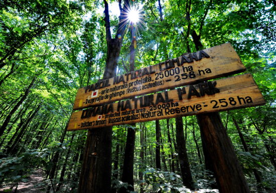 Trail run - MTB cu sens într-un parc natural protejat
