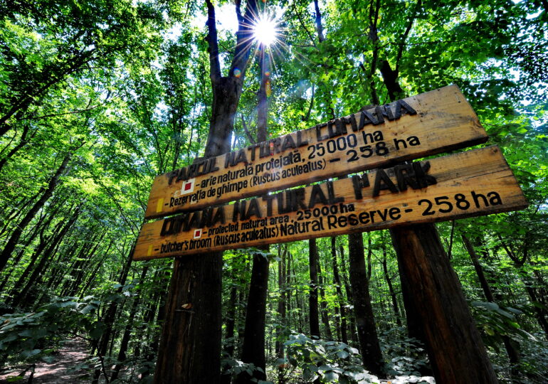 Trail run - MTB cu sens într-un parc natural protejat