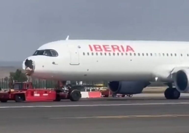 Botul unui avion a fost distrus după ce a lovit în zbor un vultur. Aeronava, forțată să se întoarcă din drum (Video)