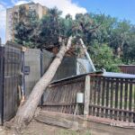 Rupere de nori în Sighetu Maramației: Torenții formați pe versanți au inundat orașul (Foto & Video)