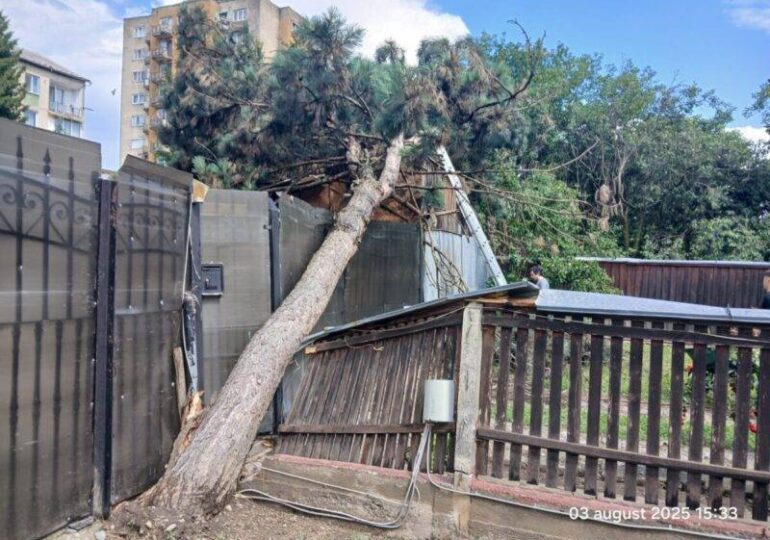 Rupere de nori în Sighetu Marmației: Torenții formați pe versanți au inundat orașul (Foto & Video)