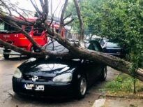România, măturată de furtuni: Trei oameni au murit. Copaci doborâți, mașini avariate, covor de grindină și străzi sub ape (Foto & Video)