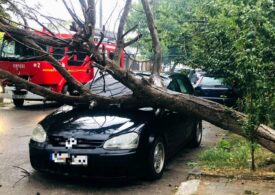 România, măturată de furtuni: Trei oameni au murit. Copaci doborâți, mașini avariate, covor de grindină și străzi sub ape (Foto & Video)