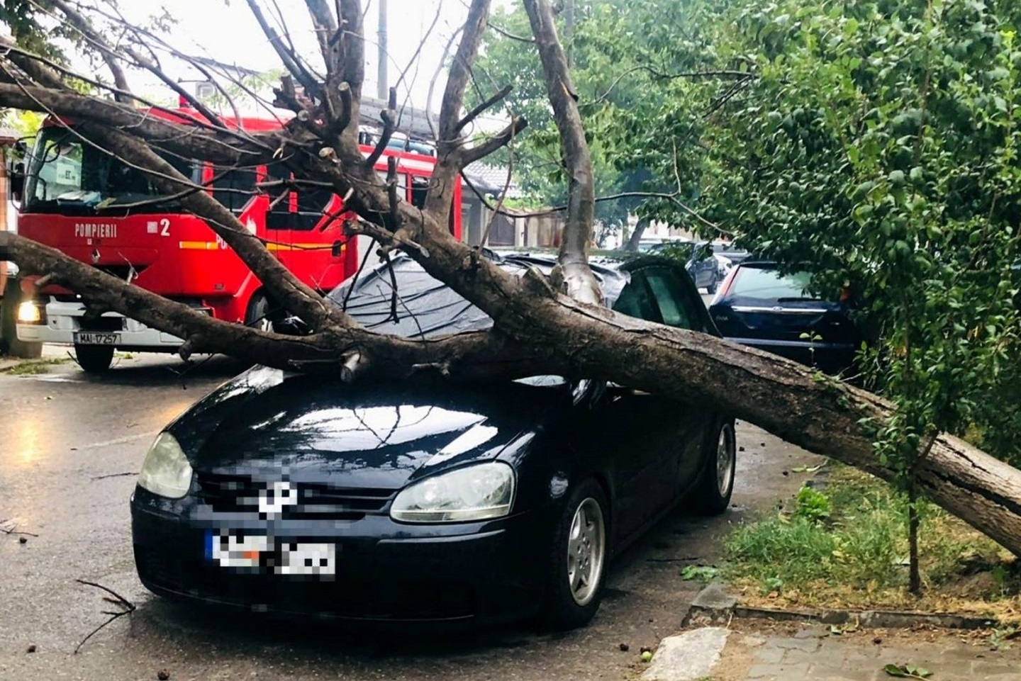 Bucureștiul, sub cod portocaliu de vânt puternic: Zeci de copaci ...