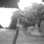 Dronă militară căzută în Polonia: autoritățile suspectează o provocare rusă (Video)
