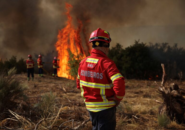 Incendii devastatoare în Europa. Un român a murit în Spania, 6.000 de persoane au fost evacuate (Foto & Video)