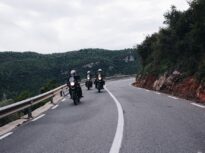 Un motociclist a fost mușcat de urs pe Transfăgărășan